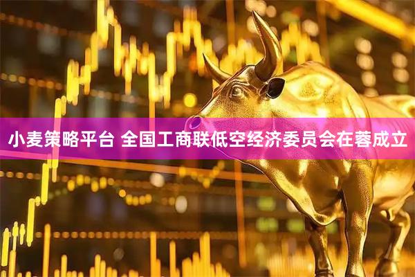 小麦策略平台 全国工商联低空经济委员会在蓉成立