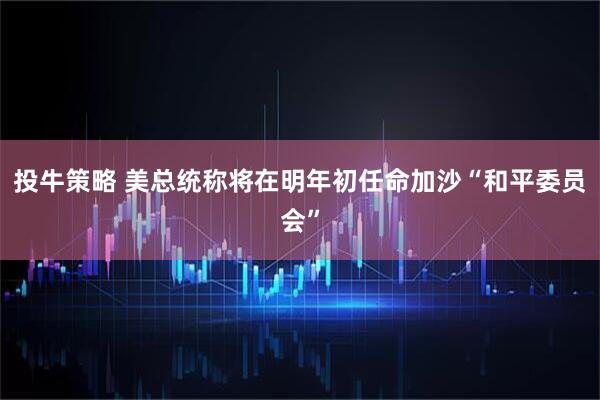 投牛策略 美总统称将在明年初任命加沙“和平委员会”